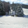 Duckling @ Sunapee, NH