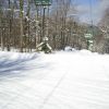 Duckling @ Sunapee, NH