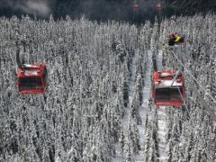 resized-IMG_0392.JPG resized-IMG_0392.JPG