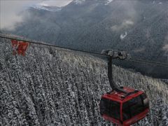 resized-IMG_0403.JPG resized-IMG_0403.JPG