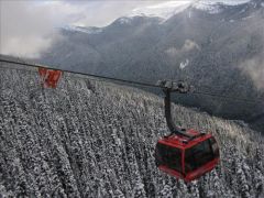 resized-IMG_0404.JPG resized-IMG_0404.JPG