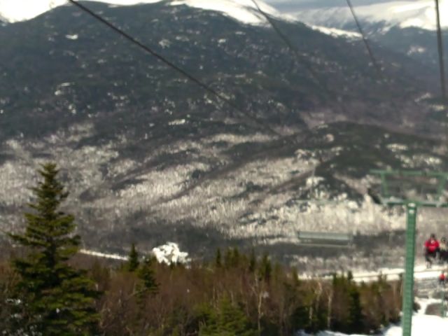 Wildcat Express Looking Down the Lift Line