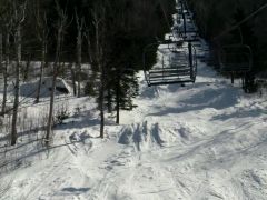 Looking up the Tomcat's Line