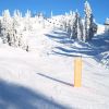 Brockton - Mt. Seymour, BC