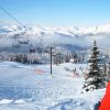 Catskinner - Blackcomb, BC