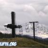 Buttercup - Mt. Hood Meadows, OR