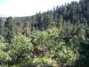 Attached Image: 100_0660.jpg