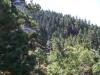 Attached Image: 100_0661-2.jpg