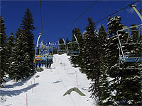 Powder at Big White