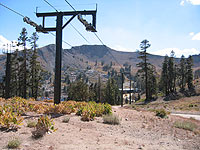 Pulse at Squaw Valley, CA