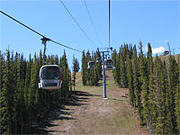 Silver Queen Gondola at Aspen Mountain