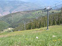 Rose Bowl at Beaver Creek