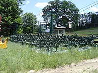 Meadows at Boyne Mountain