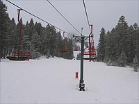 Alpine at Bridger Bowl