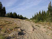 Skiway at Timberline