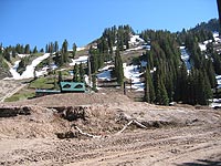 Collins at Alta