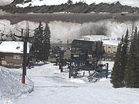 Collins at Alta
