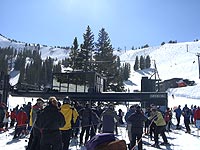 Germania at Alta