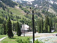 Chickadee at Snowbird, UT