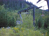 Dinosaur at Snoqualmie Summit