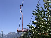 Dinosaur at Snoqualmie Summit