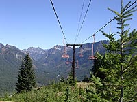 Dinosaur at Snoqualmie Summit