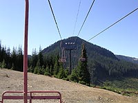 Dinosaur at Snoqualmie Summit