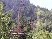 Dinosaur at Snoqualmie Summit