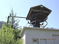 Dinosaur at Snoqualmie Summit