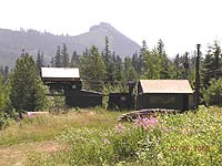 Dinosaur at Snoqualmie Summit