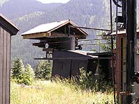 Dinosaur at Snoqualmie Summit