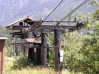 Dinosaur at Snoqualmie Summit