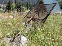 Dinosaur at Snoqualmie Summit