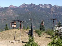 Dinosaur at Snoqualmie Summit