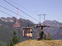 Dinosaur at Snoqualmie Summit