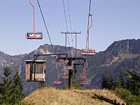 Dinosaur at Snoqualmie Summit