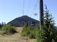 Dinosaur at Snoqualmie Summit