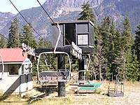 Silver Fir at Snoqualmie Summit